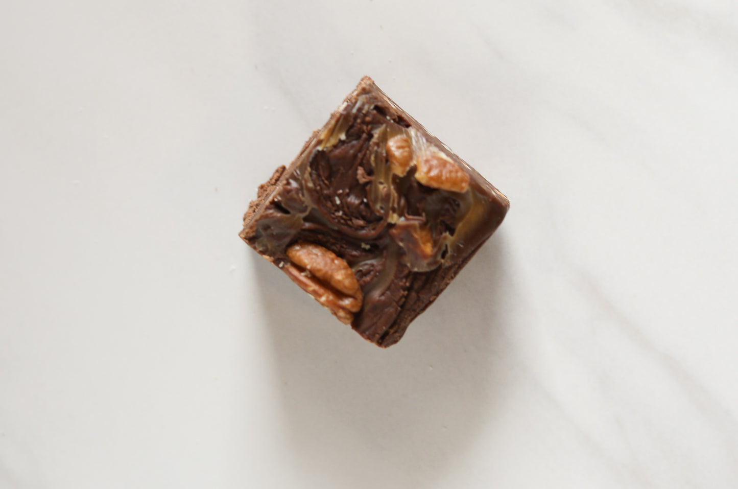 Turtle Fudge