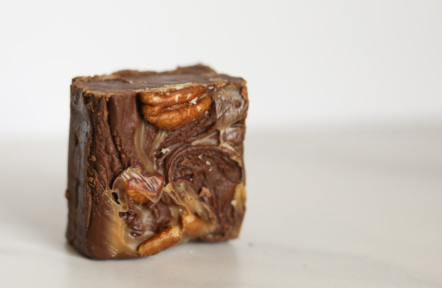 Turtle Fudge